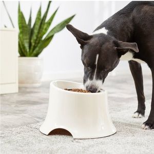 Frisco Stainless Steel Bowl with Elevated Stand